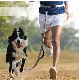 Hands Free Dog Leash for Medium and Large Dogs - Durable Dual Handle Waist Leash with Reflective Bungee for Running; Walking; Training; Hiking (colour: blue-4211)